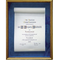 Illuminated Parchment Scroll Awards (15"x18")